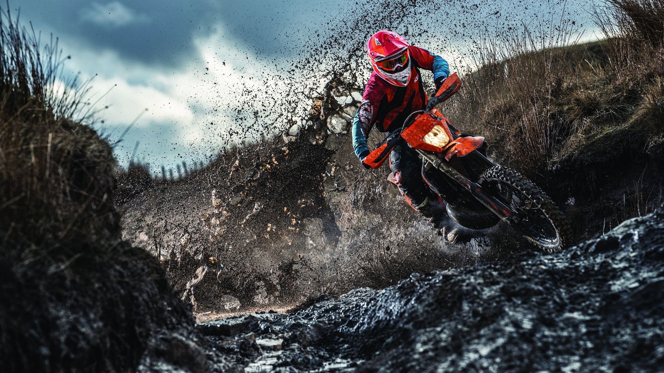 橙衣风暴席卷G组,京多安穿针引线,荷兰大胜墨西哥上演强强对话经典